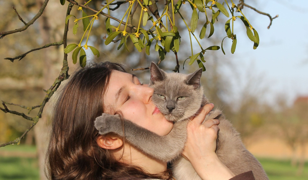 Biodiversidad: Nuestros amigos inseparables de vida