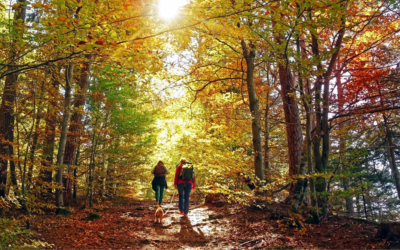 Las rutas verdes para revitalizar el ambiente